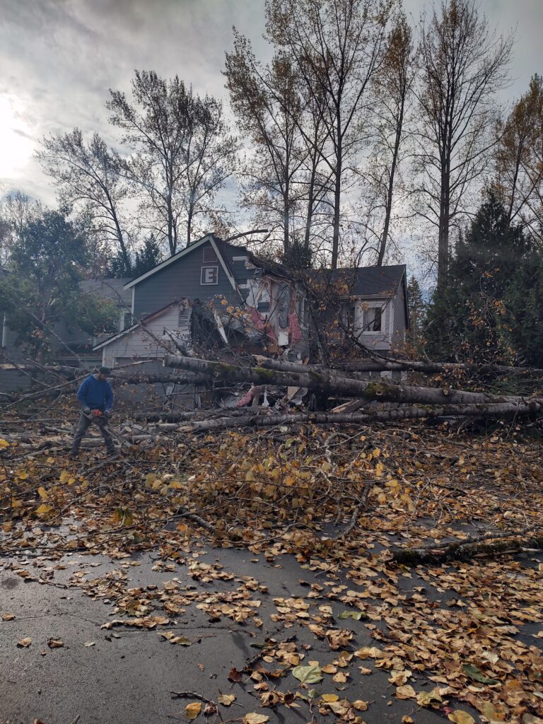 IMG_20221105_141424874_HDR