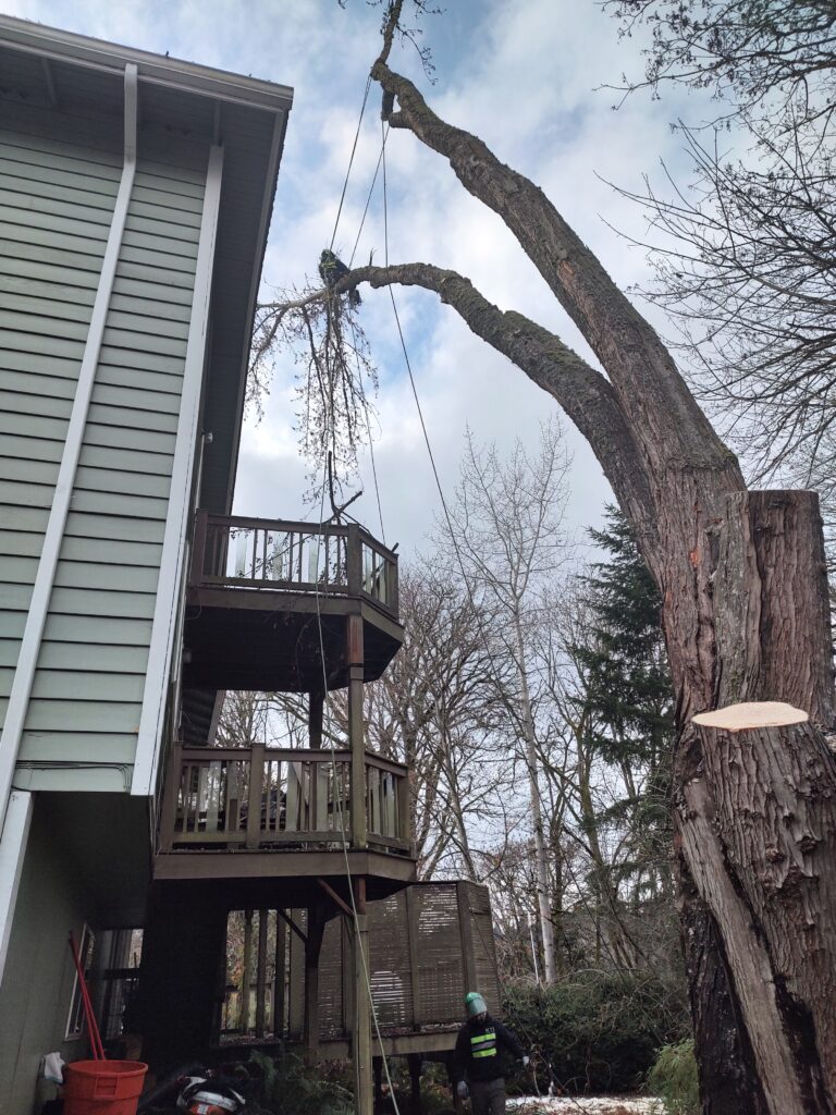 IMG_20221206_141510984_HDR