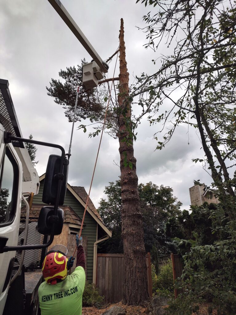 IMG_20230830_133044756_HDR