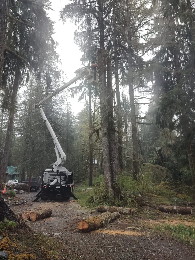 IMG_20240425_101729599