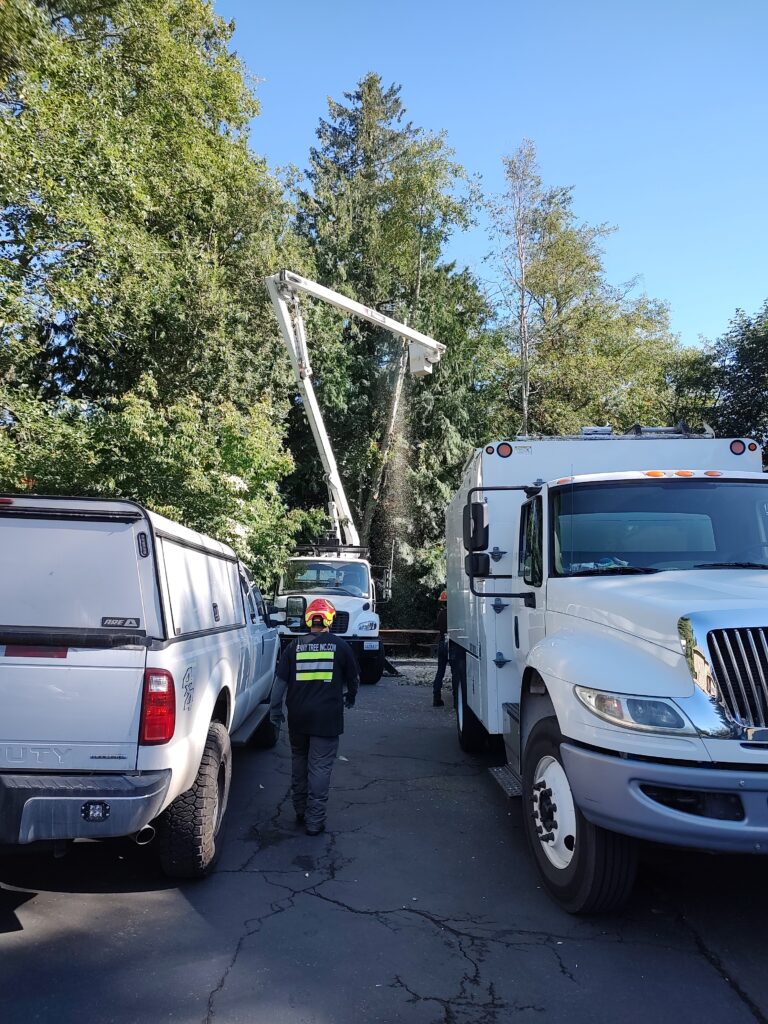 IMG_20240801_092752042