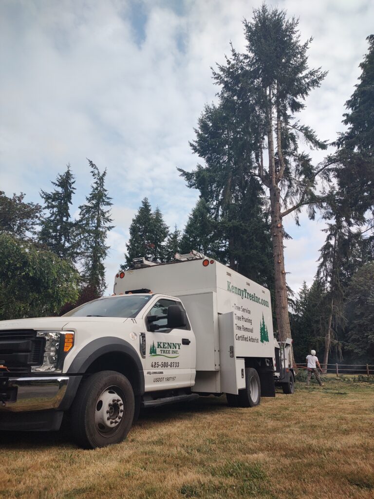 IMG_20240816_095047386