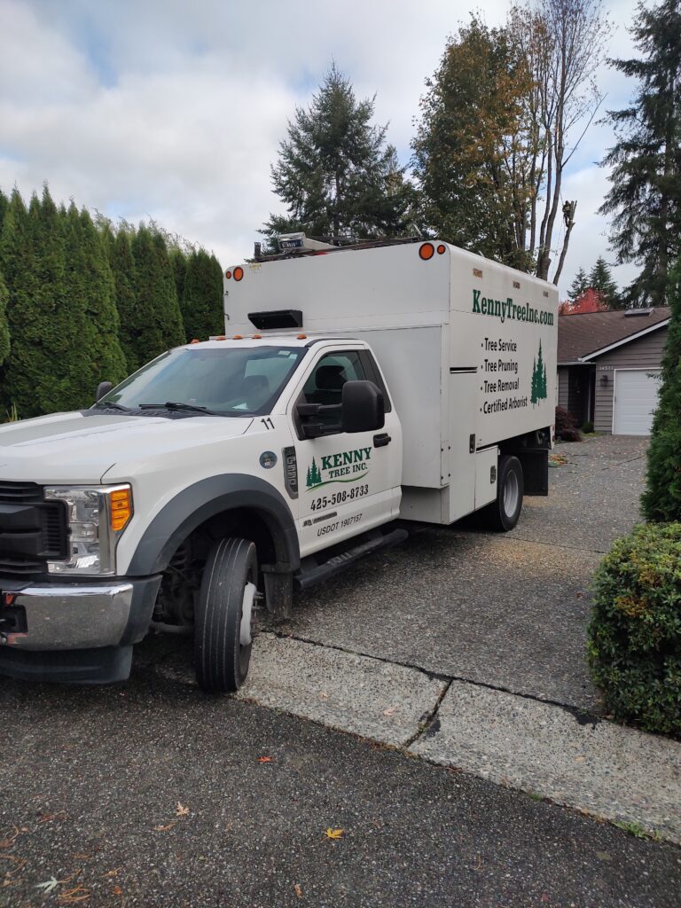 IMG_20241022_100923409_MP