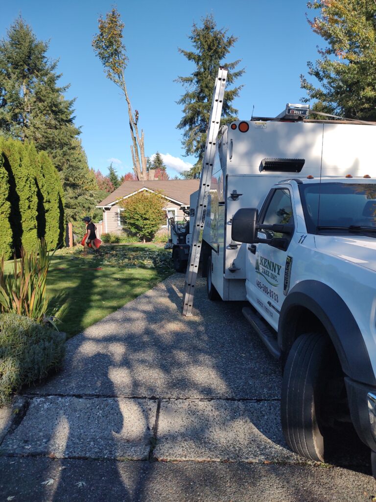 IMG_20241022_152018189_MP