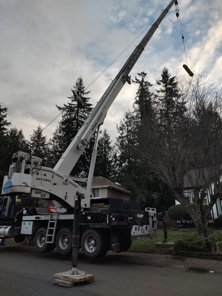 IMG_20241120_153925397_MP