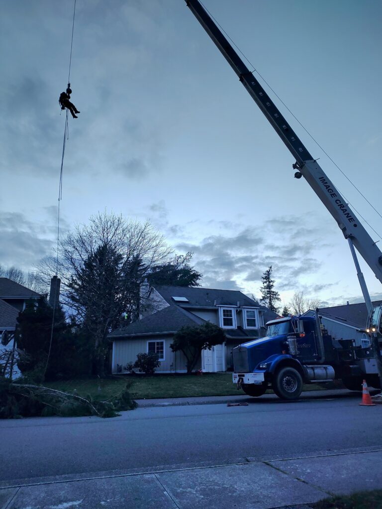 IMG_20241120_162756281_MP~2