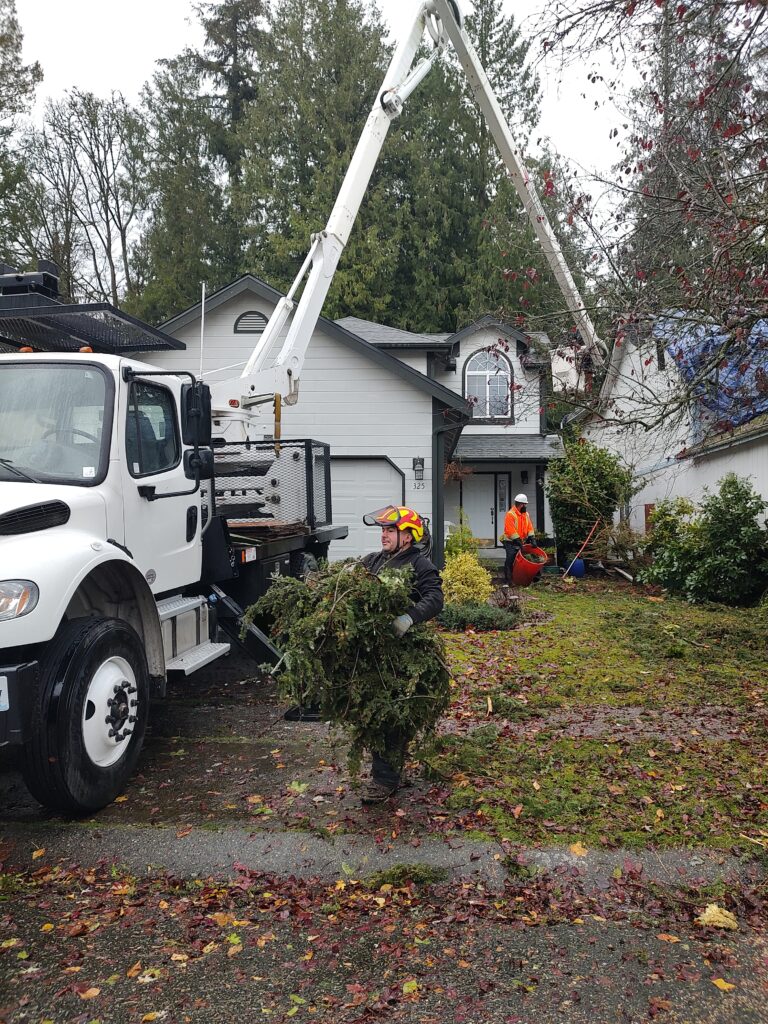 IMG_20241122_095746283_MP