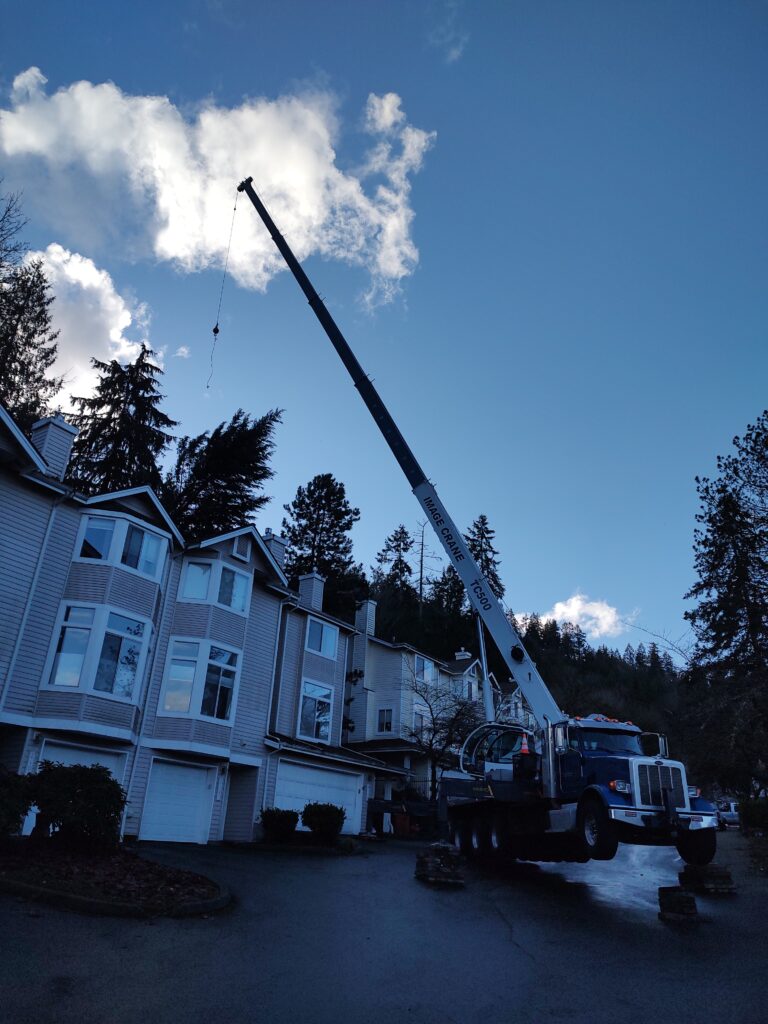 IMG_20241122_143112060_MP